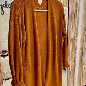 Cardigan
